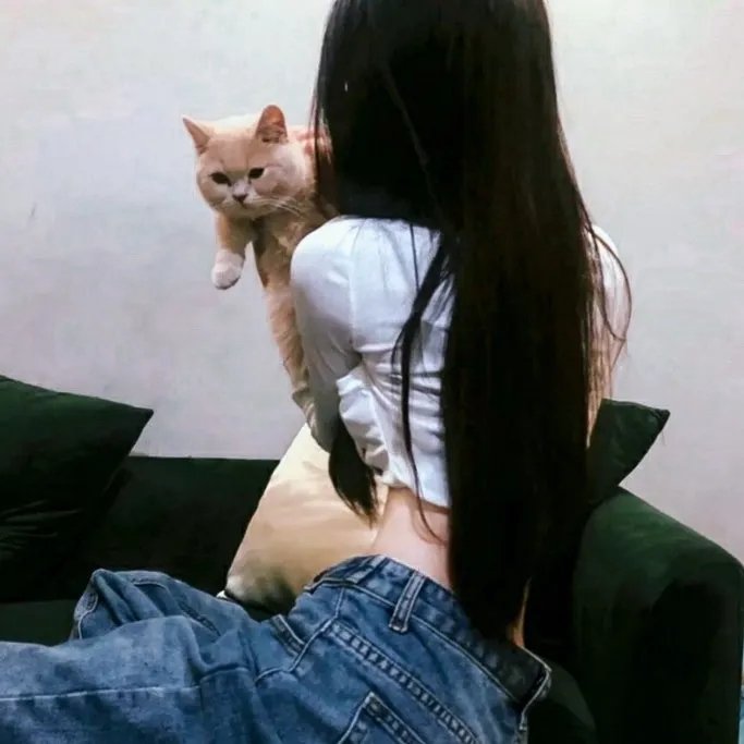 断线的亲情